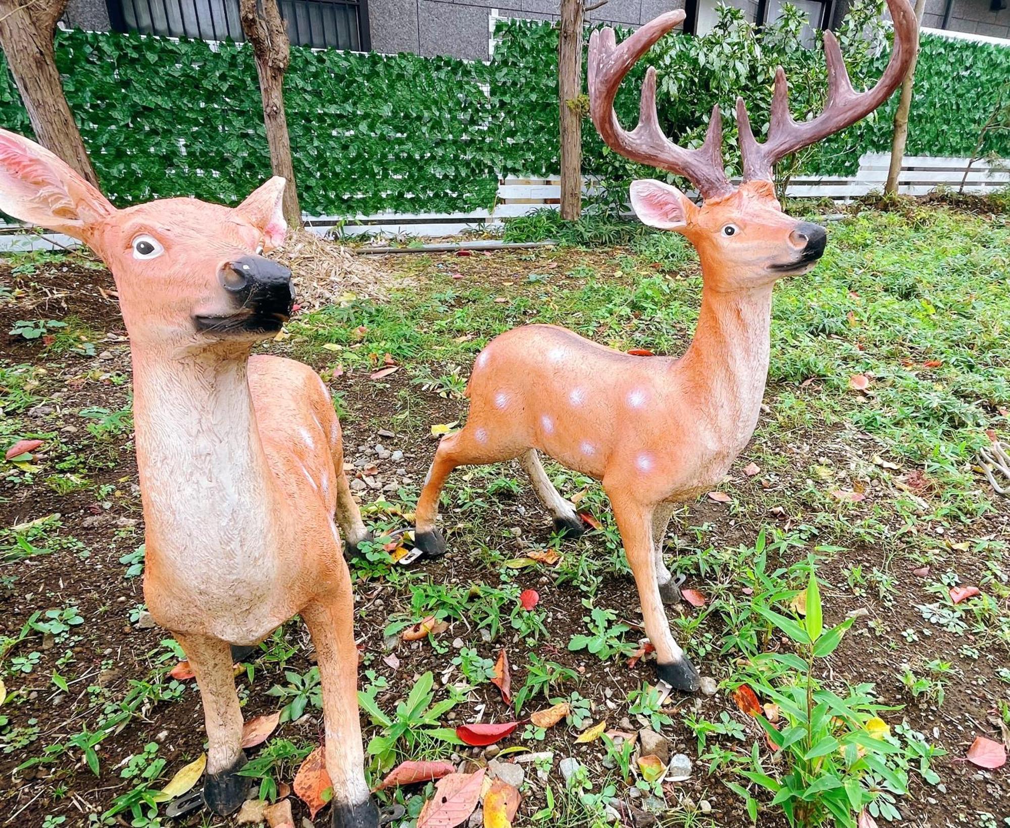 Vacation Stay Fuji - 桜館 Fujikawaguchiko Exterior foto